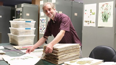 USU plant biologist Carl Rothfels.