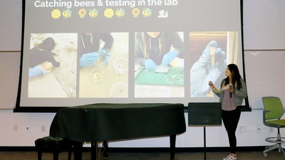 A student presentation about bees.