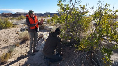 Researchers setting up a trail camera and bait in the desert.