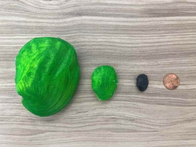 Bright green and dark gray 3D-printed mussels are placed next to a penny for size comparison.