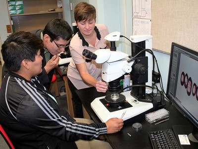 USU geologists use microscope.