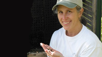 USDA entomologist Theresa Pitts-Singer