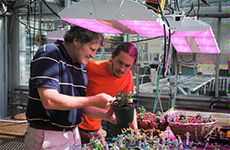 USU's Bruce Bugbee in a greenhouse