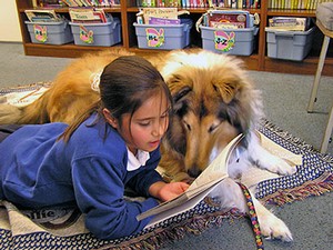 Girl reading with therapy animal