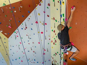 Climbing wall in ARC