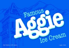 Aggie Ice Cream package design