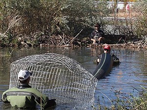 USU researchers work with a pond leveler in a beaver pond