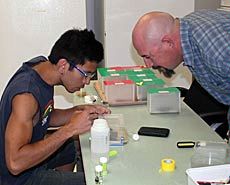 working in the bee lab, Jon Koch and Jamie Strange