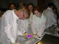 Students using black light in lab