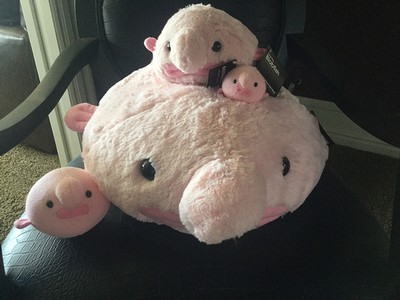Blobfish
