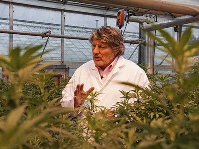 Professor Bruce Bugbee with hemp plants.
