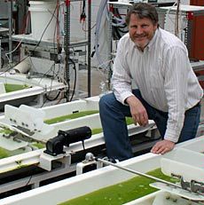 USU professor Bruce Bugbee in the lab
