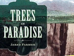 Trees in Paradise book cover