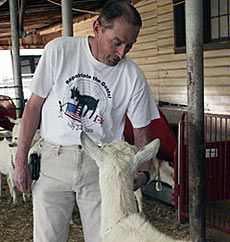 USU USTAR researcher Randy Lewis and goat