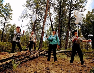 Hannah Johnson, Robbie Hannawacker, Amanda Barth and Ranger Halley.