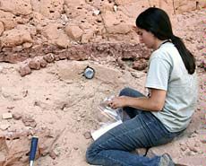 USU alum Melissa Jackson Chapot collecting samples at research site