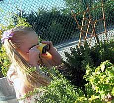 a child looking at plants
