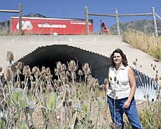 Patricia Cramer at highway and wildlife crossing area