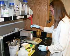 USU doctoral candidate Rhesa Ledbetter preps a lab procedure