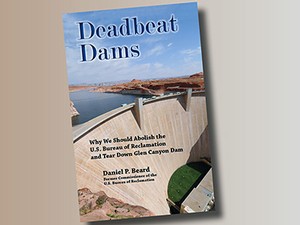 Bookcover illustration for 'Deadbeat Dams'