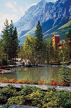 scenic photograph, landscape design