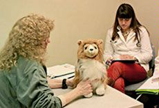 USU Veterinary Students