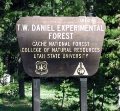 Theodore W. “Doc” Daniel Forest sign