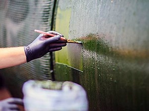 Cultivating microalgae from hydraulic fracturing fluid