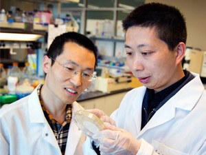 USU professor Jixun Zhan and Shuwei Zhang in a USU engineering lab