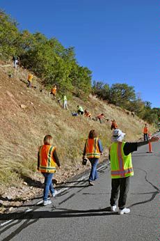 volunteers working in Emigration Canyon