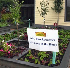 raised beds at the makeover house