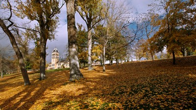 Old Main hill with fall leaves. Old Main in the background.