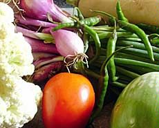 garden vegetables