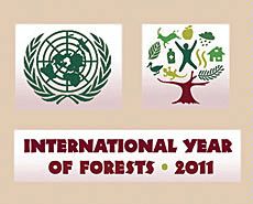 illustration poser for United Nations' 2011 International Year of Forests