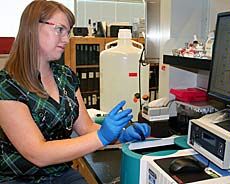 USU student Lynsey Talbot in Lance Seefeldt's lab