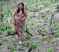 a woman ispects a jalapeno field