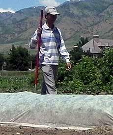 Chea Leangsrum at USU Organic Farm