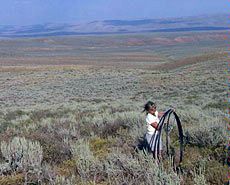 field work at Bear Lake study site