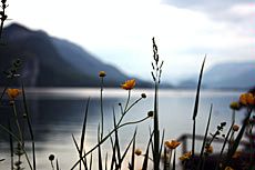 USU student art, landscape photo