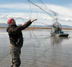 setting a mist net at the Great Salt Lake