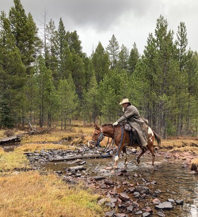 USU Uintah Basin campus volunteers clean up Ashley National Forest.