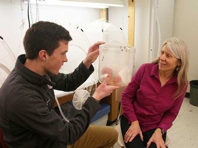 USU biology researchers in lab