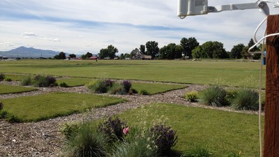 Grass test patches for water conservation and accompanying weather station.