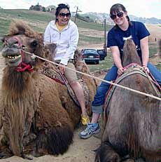 USU student Kjersten Adams in Mongolia on camel