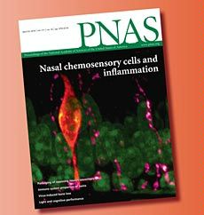 journal cover, Proceedings of the National Academy of Sciences