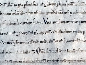 detail from the historic document Magna Carta