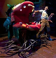 Stefan Espinosa as Seymour from 'Little Shop of Horrors'