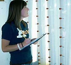 USU undergraduate researcher Erin Fleming in lab