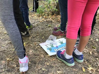 Students act as migratory