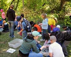 USU student volunteers for Natural Resource Field Days